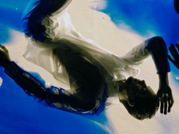 MARIA FRIBERG  painting series #6  2011, c-print, silicon, glass, mounted on aluminum, 23 x 17 inches