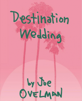 Destination Wedding book cover