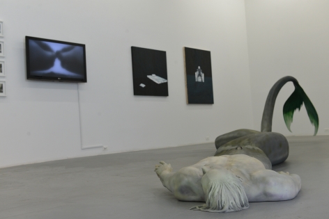 ACADEMY 2014  2014. Installation view: CONNERSMITH.