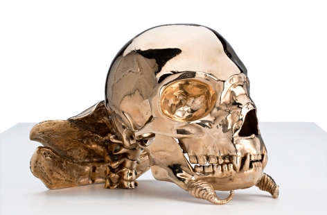 PATRICIA PICCININI Not Quite Animal II (Transgenic skull for the Bodyguard) 2008, bronze, 9.5 x 8.5 x 6 inches.