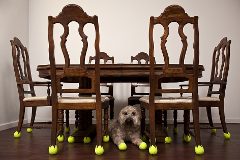GINNY HUO Mothers Table 2011, table, dog, tennis balls, dimensions variable