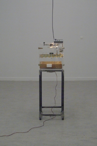 KOEN VANMECHELEN Incubator, Breeding Machine 2009, transparent incubator with audio, 61.5 x 17.5 x 17 inches