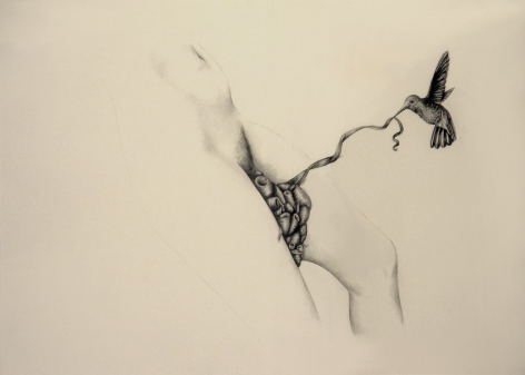 PATRICIA PICCININI Figure with Hummingbirds 2010, graphite on paper, 22.5 x 30 inches