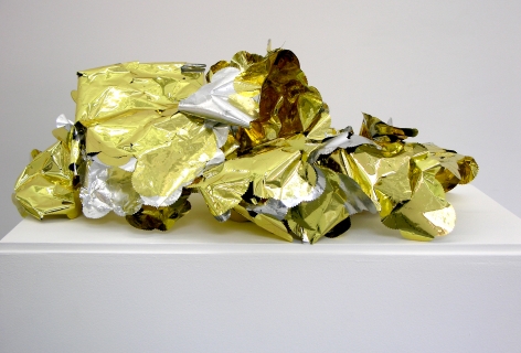 Wilmer Wilson Shed Skin (Authentic/DC Notary)  2012, foil, adhesive, DNA, dimensions variable