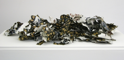 WILMER WILSON IV  Shed Skin (1¢/2¢/5¢)  2012, postage stamps (paper, adhesive), DNA, dimensions variable