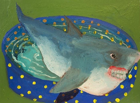 PHILIP HINGE Domestic Shark 2013, acrylic on canvas, 12 x 16 inches