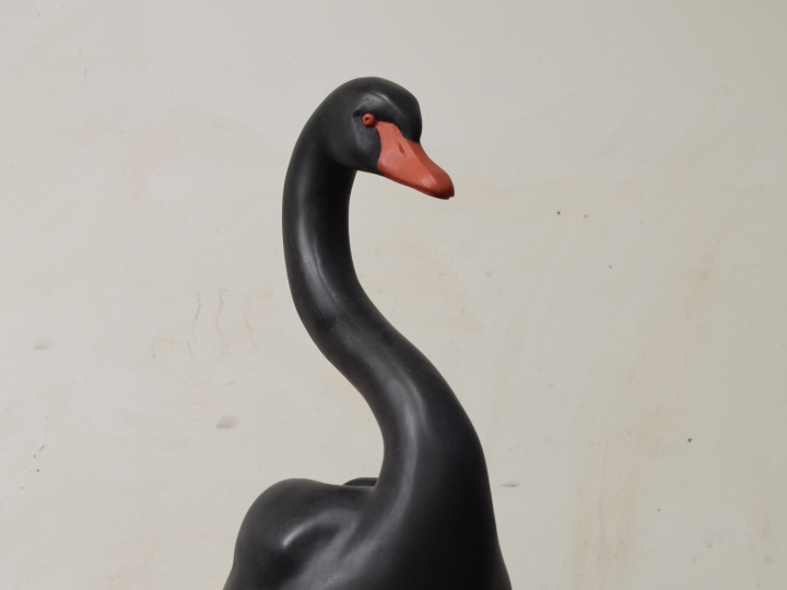 Hunter Black Swan